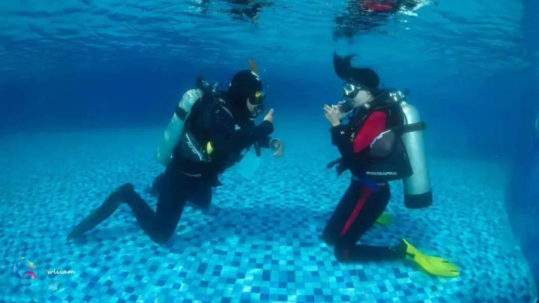 造物法则